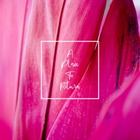 An expressive and charming musical work that conveys a sense of happiness and harmony.