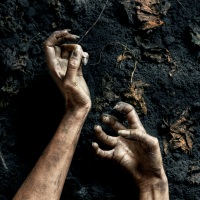 Banda sonora épica que combina instrumentos acústicos con sintetizadores.